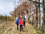 ALLENAMENTO DI NORDIC WALKING