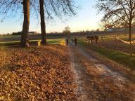 ALLENAMENTO DI NORDIC WALKING