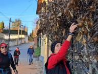 ALLENAMENTO DI NORDIC WALKING