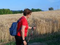 CAMMINATA PER LE COLLINE DI NIZZA M.