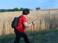 CAMMINATA PER LE COLLINE DI NIZZA M.