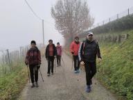 ALLENAMENTO DI NORDIC WALKING