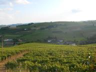 CAMMINATA PER LE COLLINE DI NIZZA M.