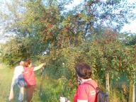 CAMMINATA PER LE COLLINE DI NIZZA M.