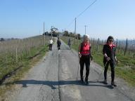 NORDIC WALKING DI BENESSERE